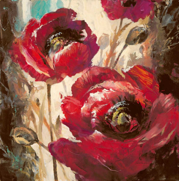 Dramatic Poppy - (Brent Heighton)