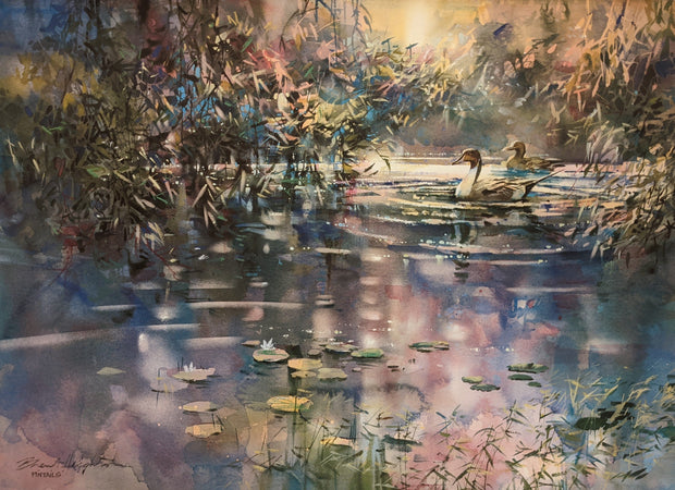 Pintails (28.5" x 20.75") - (Brent Heighton) Limited Prints